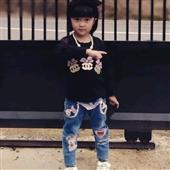 Luật
