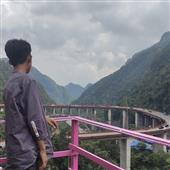 Bộ q