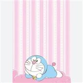 Gấu 