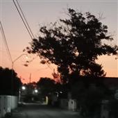 Trò