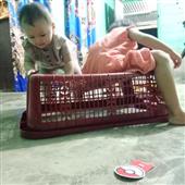 Lịch