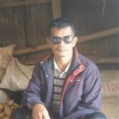 Nghệ