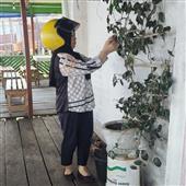 Nữ H