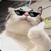 Kèo 