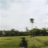 Chiế
