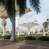 Lịch