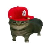 Chi
