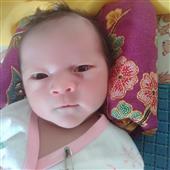 Bảo 