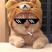 Thập