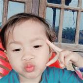Dự đ