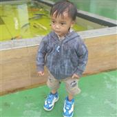 Onli