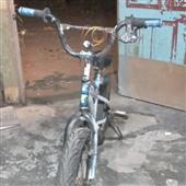 Giả