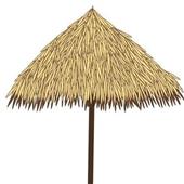 Luật
