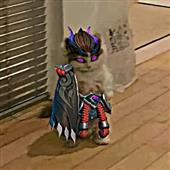 Mô 
