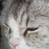 Nhậ