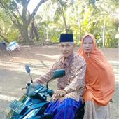 Cung