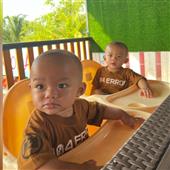Dự b