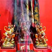 Trực