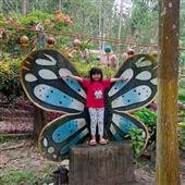 NÔNG