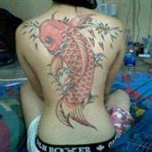 Reel
