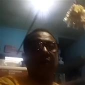 The 