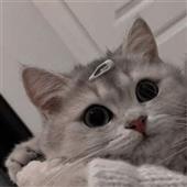 Đườn