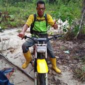 Rồn