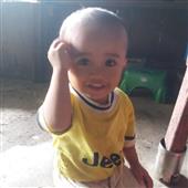 Luật