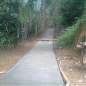 Cuộ