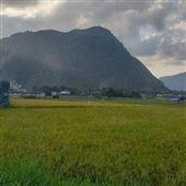 Thầ
