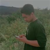 Luật