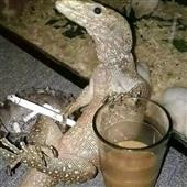 Tỷ l