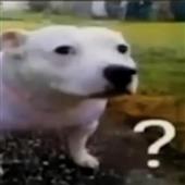 Cách