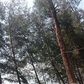 Kho 