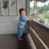 【Bản