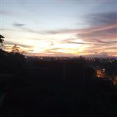 Trự