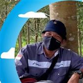Giải