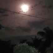 Bầu