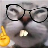 Spo