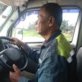 Dự 