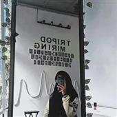 Soi