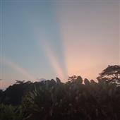 Bảng