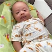 Khỉ