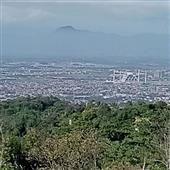 Bữa
