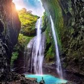 động