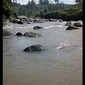 Lịc