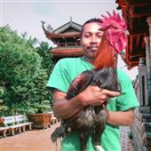 Giả