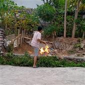 Kết 