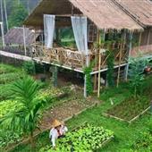 Sự 