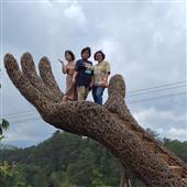 Chơi